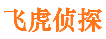 大同市私人侦探